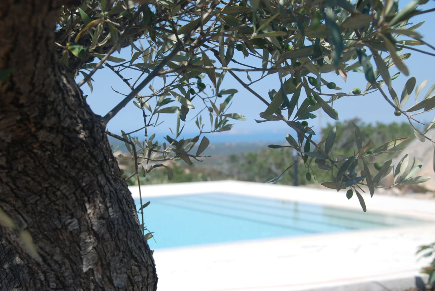 Spazi esterni e giardino mediterraneo di Li Padulazzi